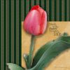 Filename=180_Tulip_FlowerLO_500x500.jpg
Filesize=95KiB
Dimensions=500x500
Date added=Mar 02, 2009 180_Tulip_FlowerLO_500x500.jpg