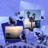 Filename=RBWBluePansiesLover_sPoint.jpg
Filesize=238KiB
Dimensions=500x500
Date added=Apr 14, 2009 RBWBluePansiesLover_sPoint.jpg