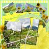 Filename=RBWLemonMeringueSunflowers.jpg
Filesize=142KiB
Dimensions=450x450
Date added=Apr 14, 2009 RBWLemonMeringueSunflowers.jpg