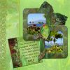 Filename=RBWParrotGreenExtraBorderQP.jpg
Filesize=148KiB
Dimensions=500x500
Date added=Mar 19, 2009 RBWParrotGreenExtraBorderQP.jpg