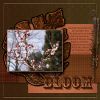 Filename=SumScrapperSpeedScrap#2.jpg
Filesize=281KiB
Dimensions=500x500
Date added=May 08, 2009 SumScrapperSpeedScrap#2.jpg