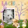 Filename=Lacie-easter.jpg
Filesize=36KiB
Dimensions=500x500
Date added=Apr 07, 2009 Lacie-easter.jpg