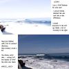 Filename=LOOK!!!!.jpg
Filesize=133KiB
Dimensions=500x500
Date added=May 05, 2009 LOOK!!!!.jpg