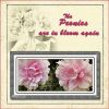 Filename=PeonyWeb.jpg
Filesize=27KiB
Dimensions=500x500
Date added=May 15, 2009 PeonyWeb.jpg