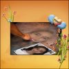 Filename=Yonah,-Chalk-Drawing.jpg
Filesize=142KiB
Dimensions=500x500
Date added=Jun 08, 2009 Yonah,-Chalk-Drawing.jpg