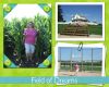 Filename=field_of_dreamslowres.jpg
Filesize=129KiB
Dimensions=625x500
Date added=Aug 05, 2009 field_of_dreamslowres.jpg