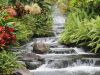 Filename=Waterfall.jpg
Filesize=280KiB
Dimensions=1024x768
Date added=Jun 12, 2009 Waterfall.jpg